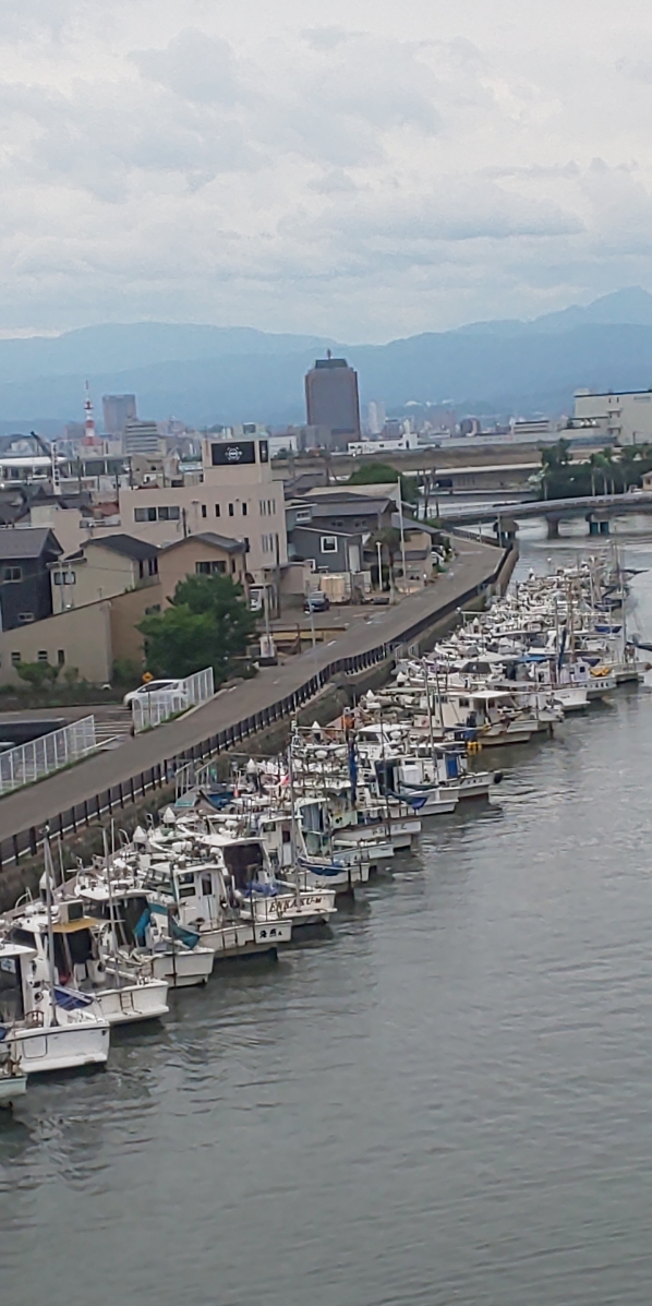 夏季の現場